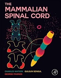 copertina di The Mammalian Spinal Cord - Text with Atlases of Primates and Rodents
