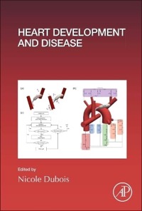 copertina di Heart Development and Disease - Volume 156