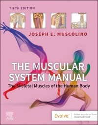 copertina di The Muscular System Manual - The Skeletal Muscles of the Human Body