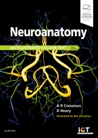 copertina di Neuroanatomy: an Illustrated Colour Text