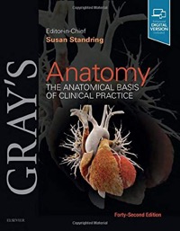 copertina di Gray' s Anatomy - The Anatomical Basis of Clinical Practice