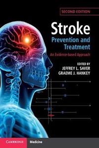 copertina di Stroke Treatment and Prevention - An Evidence-based Approach