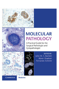 copertina di Molecular Pathology - A Practical Guide for the Surgical Pathologist and Cytopathologist