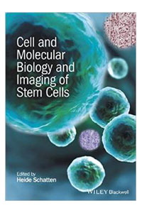 copertina di Cell and Molecular Biology and Imaging of Stem Cells