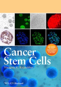 copertina di Cancer Stem Cells