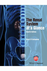 copertina di The Renal System at a Glance