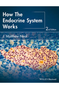 copertina di How the Endocrine System Works