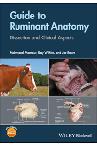 copertina di Guide to Ruminant Anatomy: Dissection and Clinical Aspects