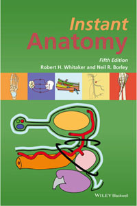 copertina di Instant Anatomy
