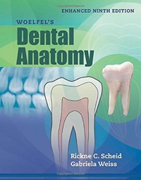 copertina di Woelfels Dental Anatomy -  Enhanced Edition