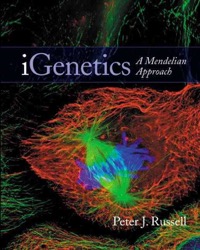 copertina di iGenetics: A Molecular Approach