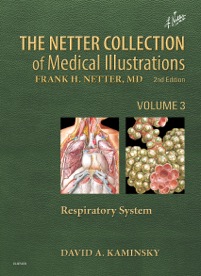 copertina di The Netter Collection of Medical Illustrations : Respiratory System