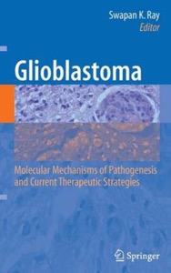 copertina di Glioblastoma : Molecular Mechanisms of Pathogenesis and Current Therapeutic Strategies