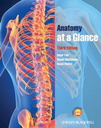 copertina di Anatomy at a Glance