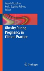 copertina di Obesity During Pregnancy in Clinical Practice