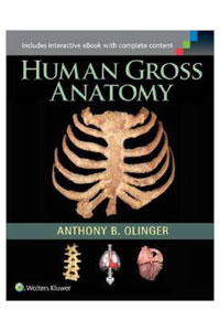copertina di Human Gross Anatomy 