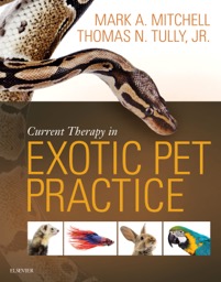 copertina di Current Therapy in Exotic Pet Practice