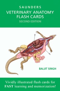 copertina di Saunders Veterinary Anatomy Flash Cards