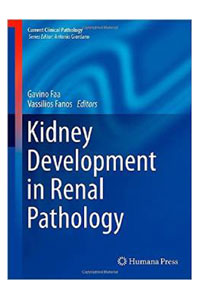 copertina di Kidney Development in Renal Pathology