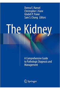 copertina di The Kidney - A Comprehensive Guide to Pathologic Diagnosis and Management