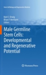 copertina di Male Germline Stem Cells : Developmental and Regenerative Potential