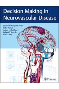 copertina di Decision Making in Neurovascular Disease