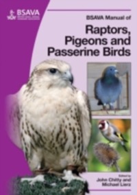 copertina di BSAVA ( British Small Animal Veterinary Association ) Manual of Raptors, Pigeons ...