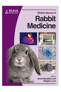 copertina di BSAVA ( British Small Animal Veterinary Association ) Manual of Rabbit Medicine