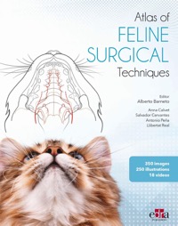 copertina di Atlas of FELINE SURGERY Techniques