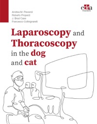copertina di Laparoscopy and Thoracoscopy in the dog and cat