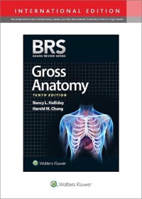 copertina di BRS Gross Anatomy 