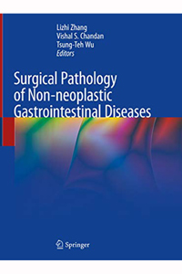 copertina di Surgical Pathology of Non - neoplastic Gastrointestinal Diseases