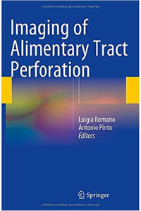 copertina di Imaging of Alimentary Tract Perforation