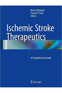 copertina di Ischemic Stroke Therapeutics - A Comprehensive Guide