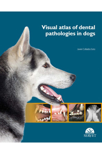 copertina di Visual atlas of dental pathologies in dogs