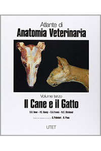 copertina di Atlante di anatomia veterinaria - Il cane e il gatto