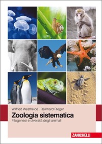 copertina di Zoologia sistematica - Filogenesi e diversita' degli animali