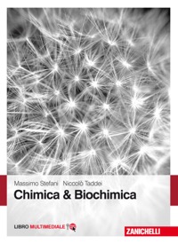 copertina di Chimica e biochimica