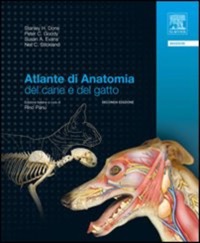 copertina di Atlante di anatomia del cane e del gatto