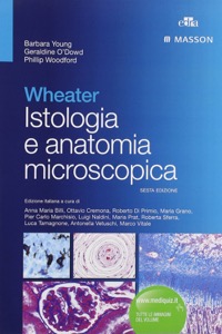 copertina di Wheater - Istologia e anatomia microscopica - accesso onLine incluso