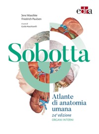 copertina di Sobotta Atlante di anatomia umana - Organi interni - Volume 2