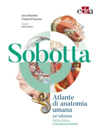 copertina di Sobotta Atlante di anatomia umana - Testa collo e neuroanatomia - Volume 3