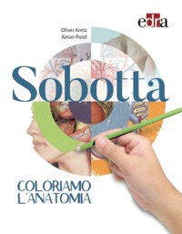 copertina di Sobotta - Coloriamo l' Anatomia