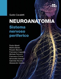 copertina di Neuroanatomia - Sistema nervoso periferico