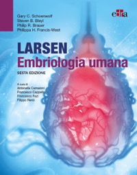 copertina di Larsen - Embriologia Umana
