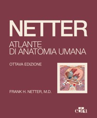 copertina di Netter : Atlante di Anatomia Umana ( Edizione 2022 . Formato Economico con Copertina ...
