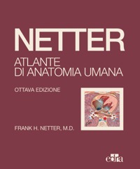 copertina di Netter : Atlante di Anatomia Umana ( Edizione 2022 . Formato Pratico con Copertina ...