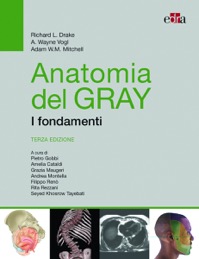 copertina di Anatomia del Gray - I fondamenti