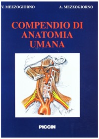 copertina di Compendio di anatomia umana