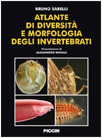 copertina di Atlante di diversita' e morfologia degli invertebrati